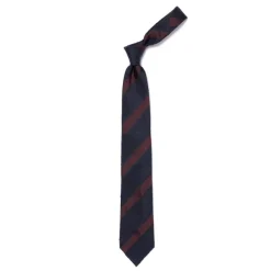 Cesare Attolini Archivio Storico: Tie "Blocco Di Shantung" Pure Silk - Hand Rolled
