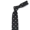 Cesare Attolini Ca Archivio Storico: Tie "Punti" Pure Silk - Handrolled