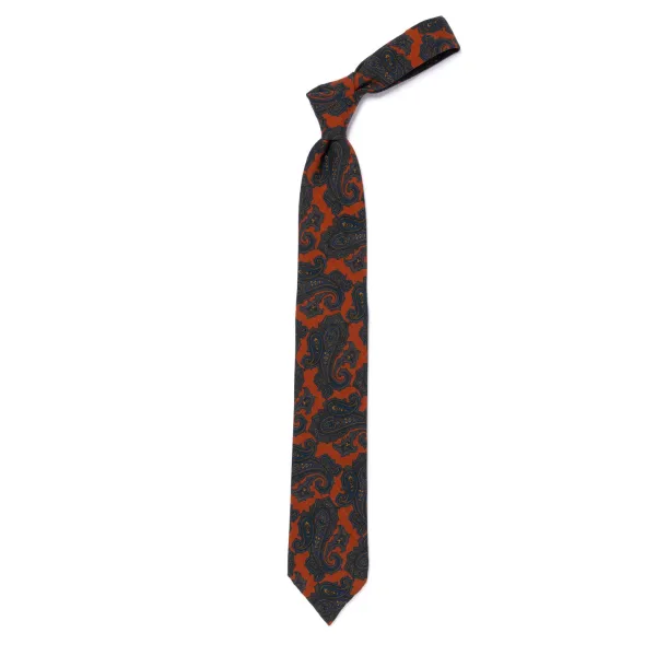 Cesare Attolini Ca Archivio Storico: Tie "Vecchio Cachemire" In Pure Wool - Handrolled