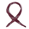 Manifatture Rosi Rosi Collection X Mj: Wild Paisley Neck-Square Scarf In Cotton And Sil